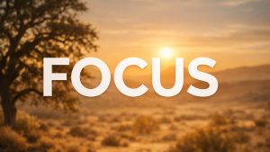 focus