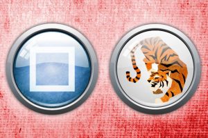 chinese zodiac: tiger